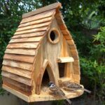 The Ultimate Guide to Bird Houses